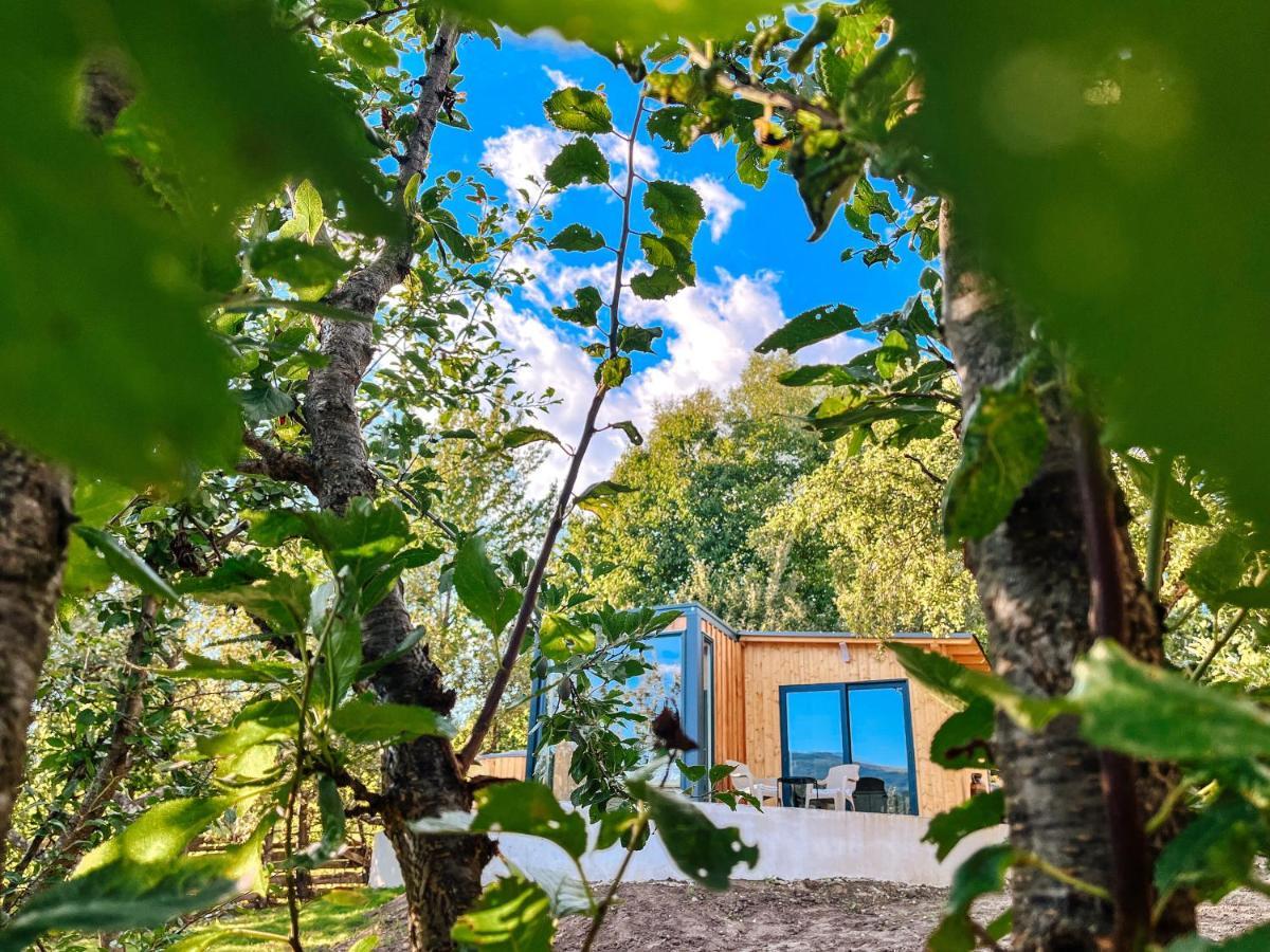 Elysian Fields - The Island Tiny House Bed & Breakfast Sadu Luaran gambar