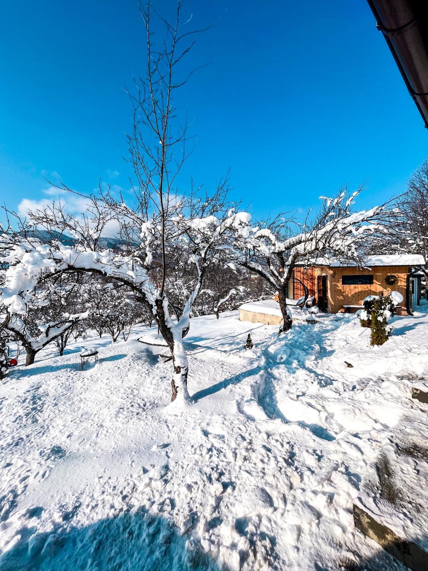 Elysian Fields - The Island Tiny House Bed & Breakfast Sadu Luaran gambar